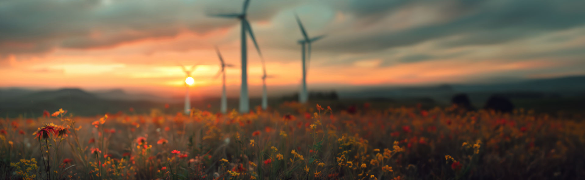 ECP Header1